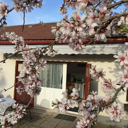 Mandula Haz Guest house *