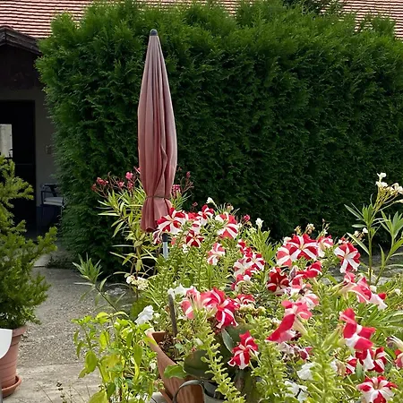 Guest house Mandula Haz *