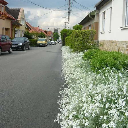 Mandula Haz