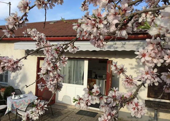 Mandula Haz בית הארחה 3*